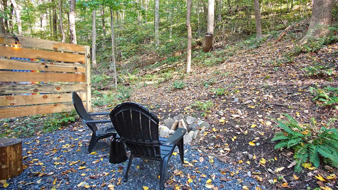 The Tulip Forest at Shaupeneak Hipcamp in Rifton, New York