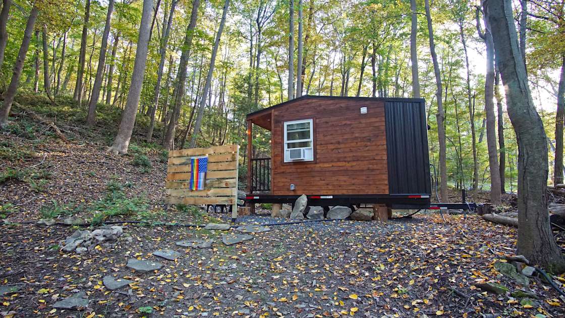The Tulip Forest at Shaupeneak Hipcamp in Rifton, New York