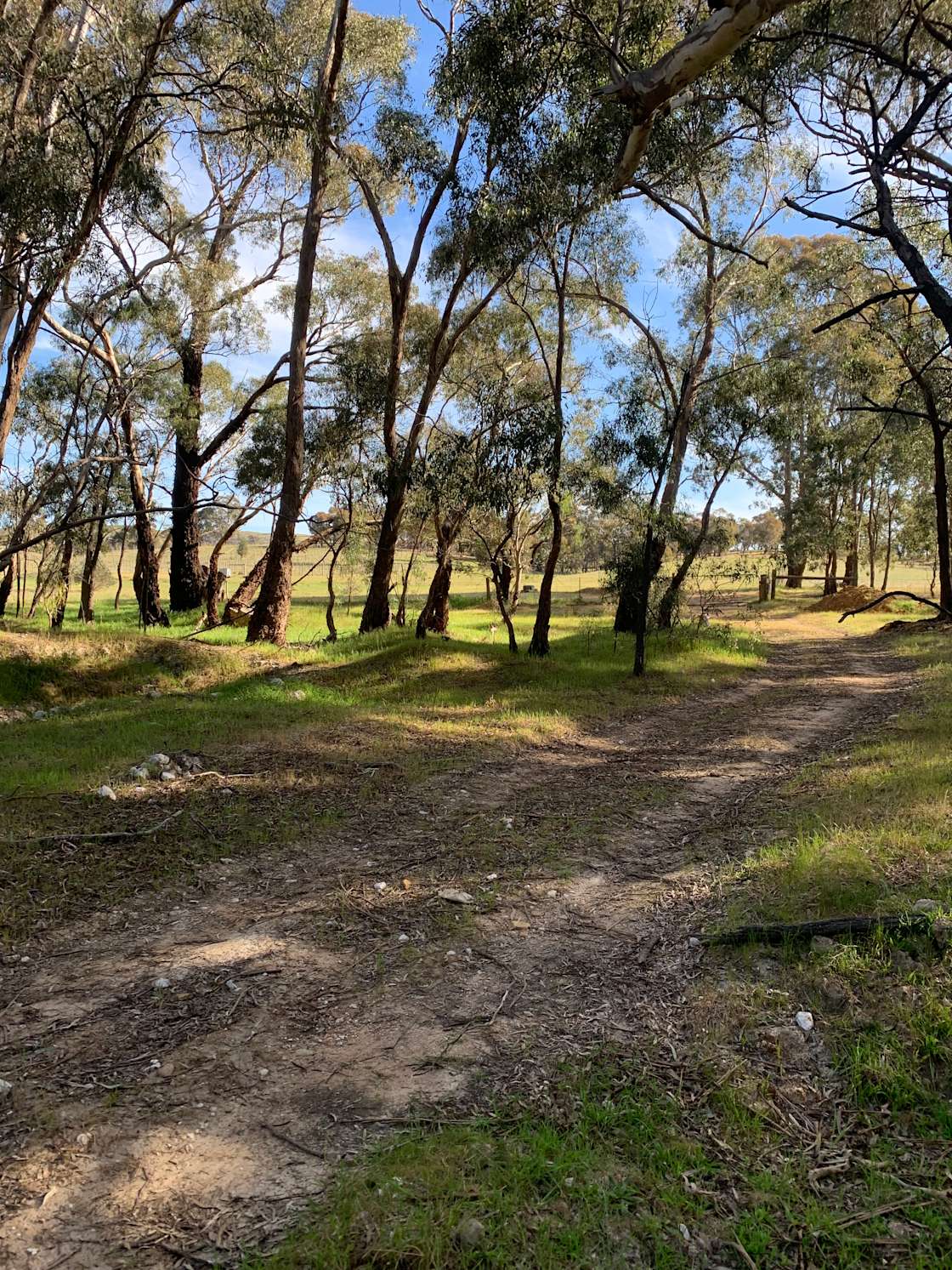 Regeneration Station Hipcamp in Landsborough, Victoria