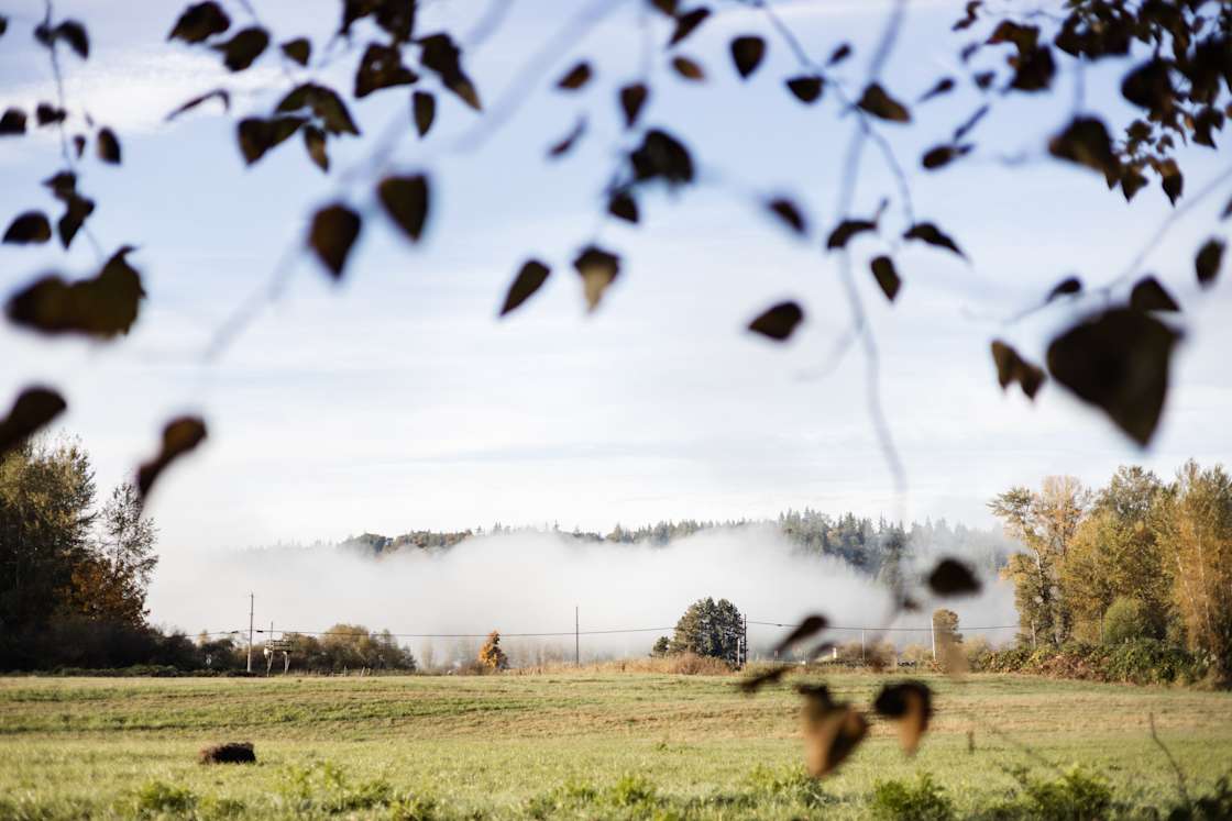 Novelty Hill Farm Hipcamp in Duvall, Washington