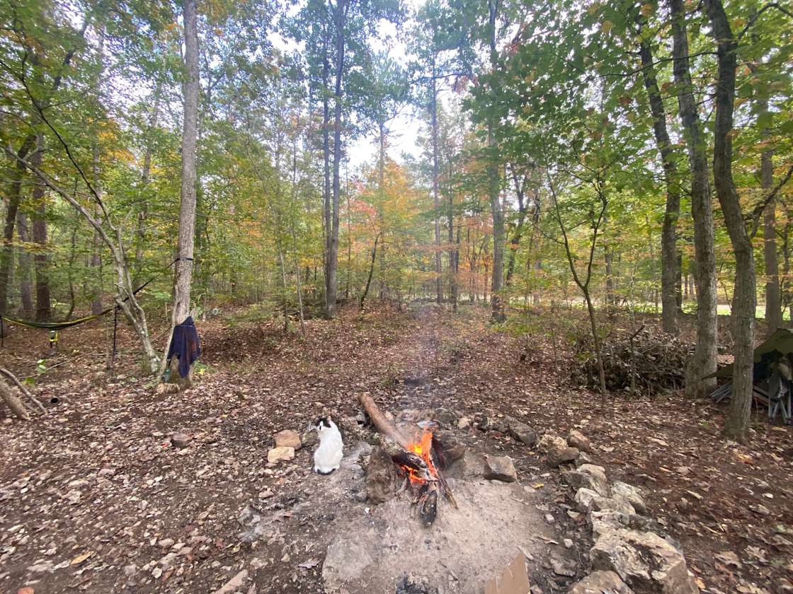 Purple Cage Homestead Hipcamp in Marquand, Missouri
