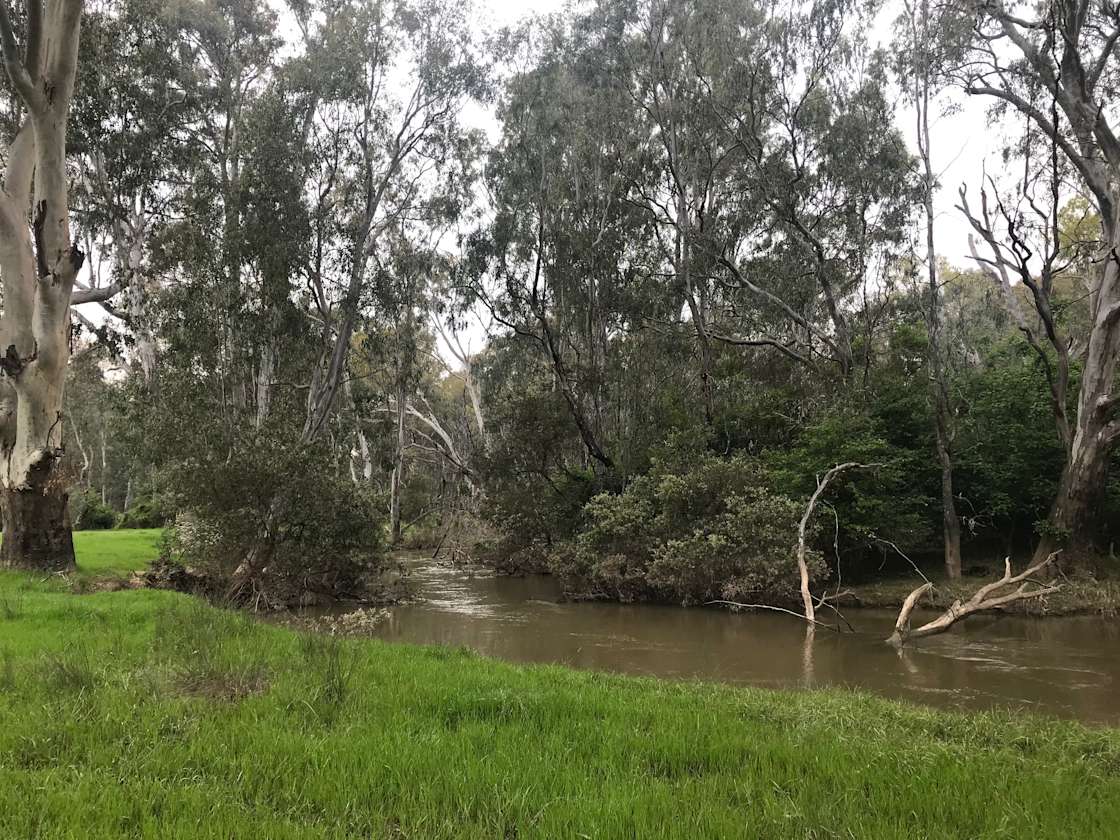 Billabong Flats Farm Hipcamp in Wangaratta, Victoria