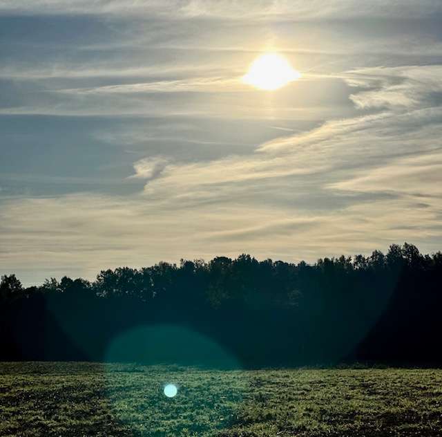 Bearwood Of Delco Hipcamp in Delco, North Carolina