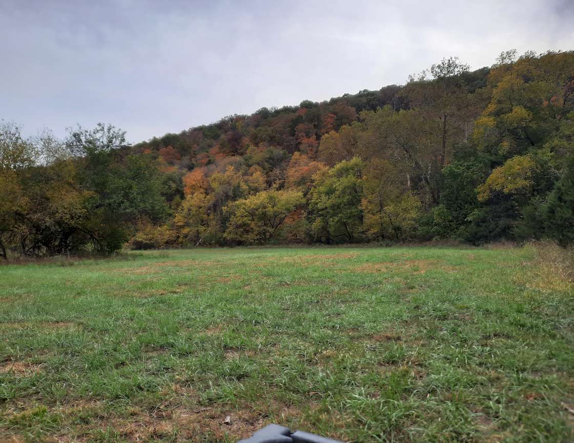 Patchwork Acres Farm Hipcamp in Seligman, Missouri