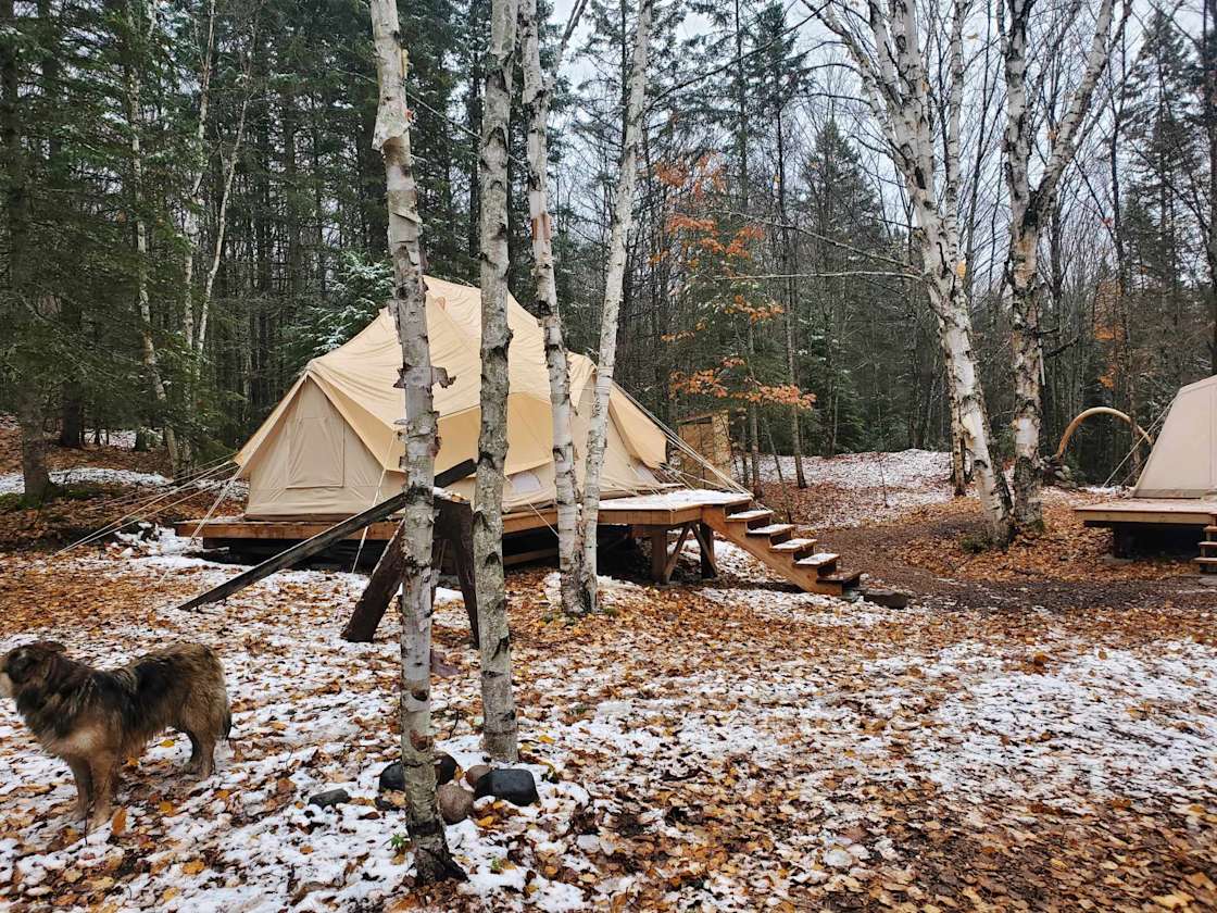 Rosewood Forest - Hipcamp in Goulais River, Ontario