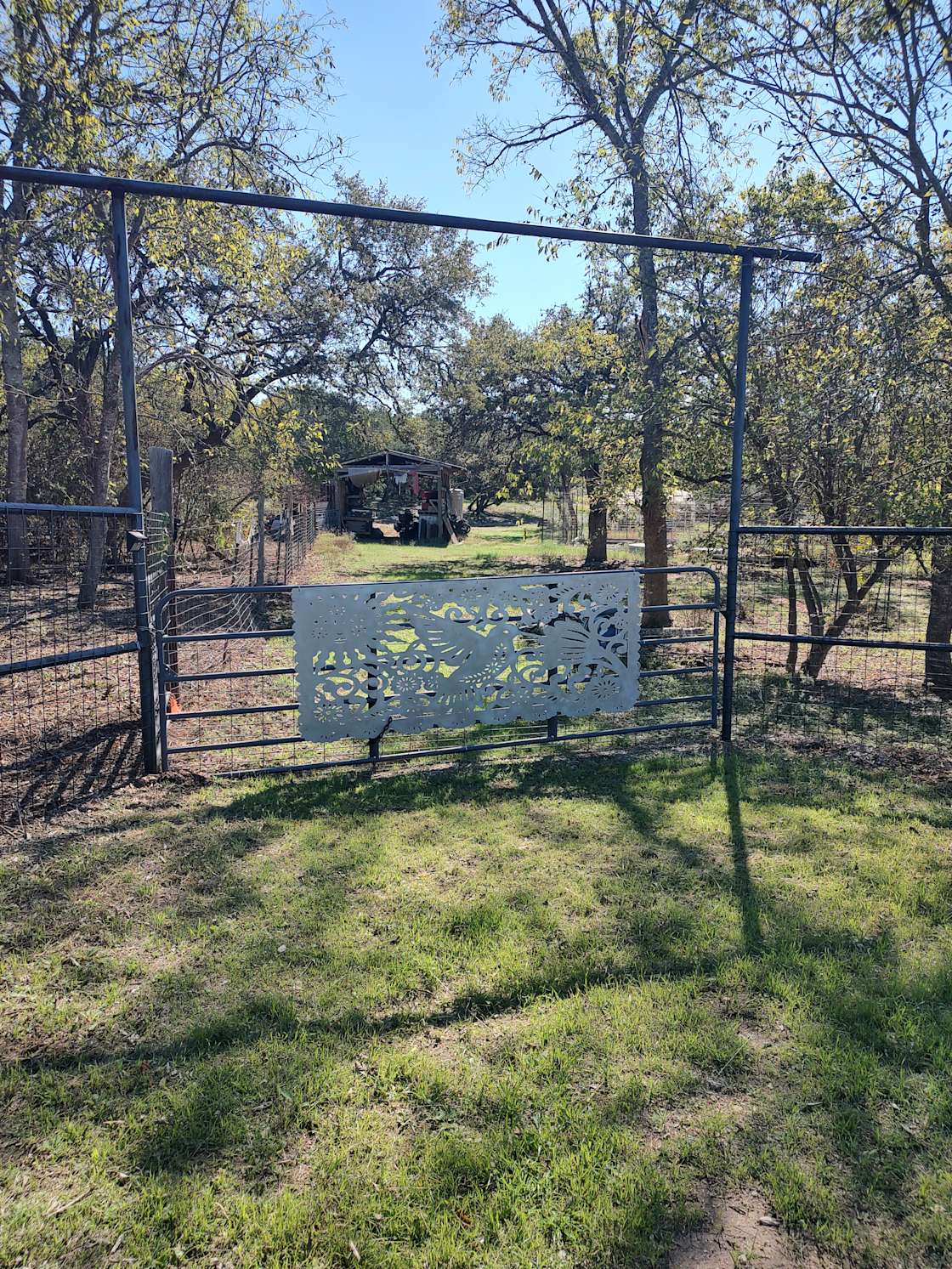native-bee-haven-hipcamp-in-boerne-texas
