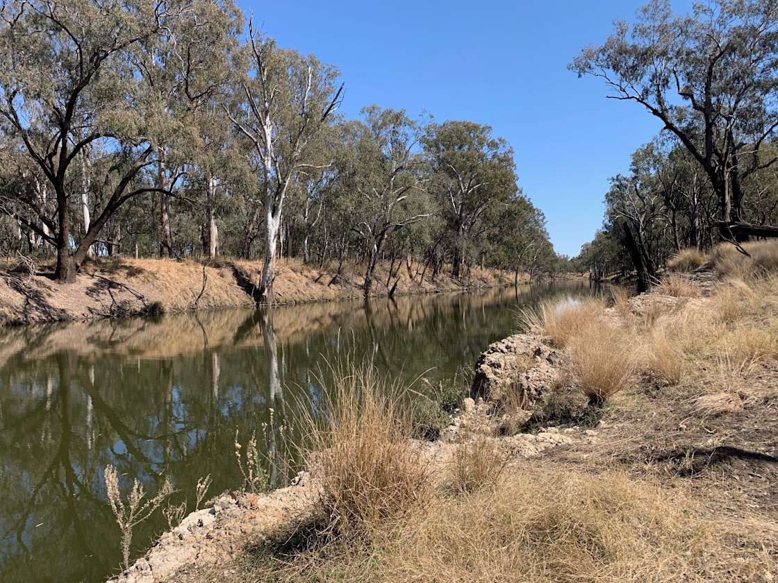 Riverbank Camping - Hipcamp in Boonarga, Queensland