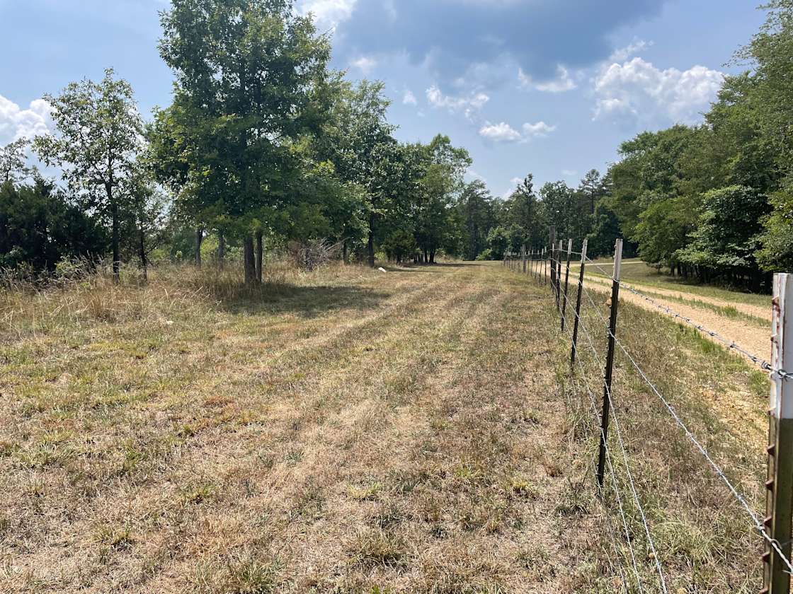 Crazy acres farms Hipcamp in Poplar Bluff, Missouri