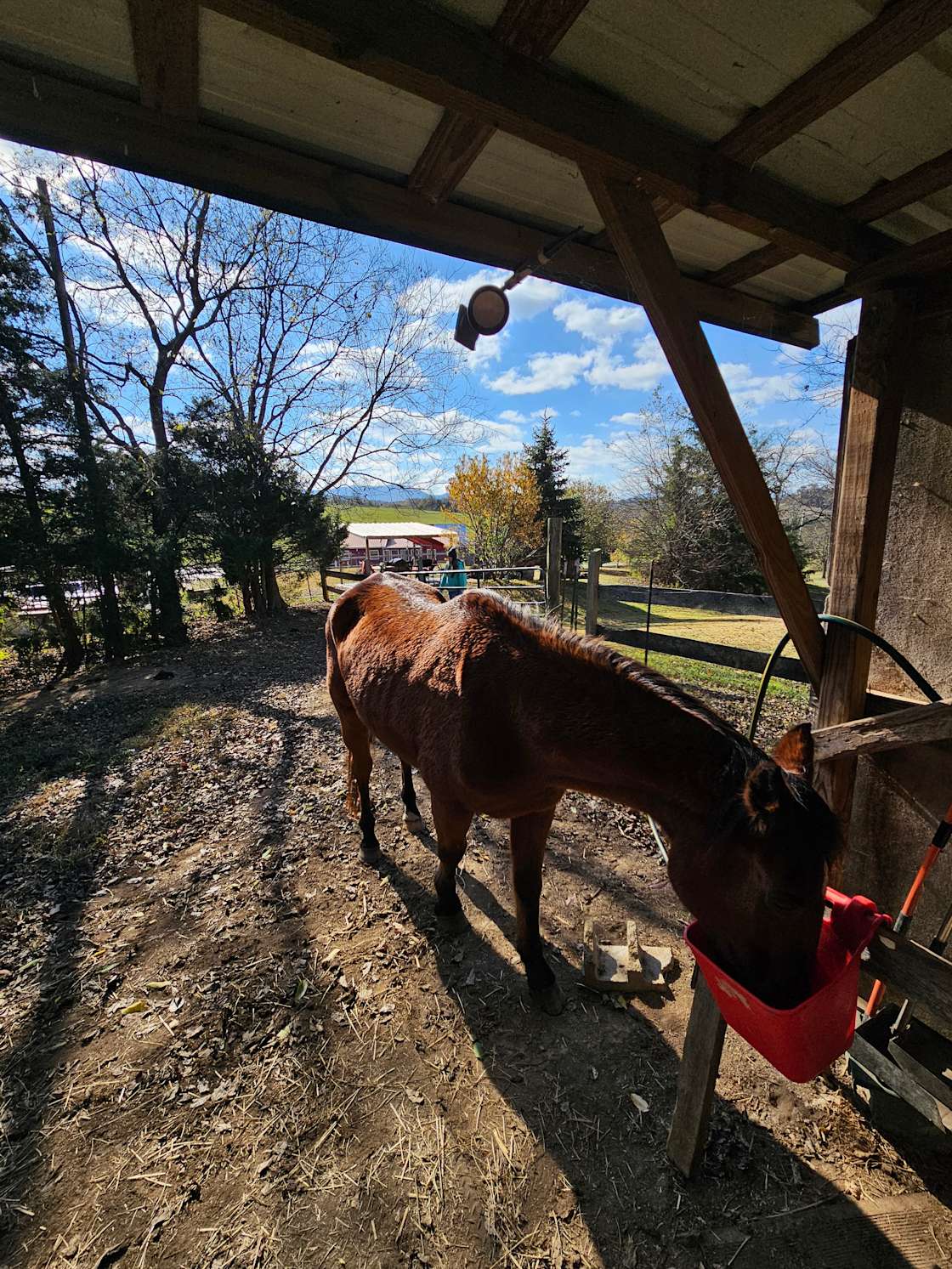 Smoky Mountain Meadows Ranch Hipcamp in Parrottsville, Tennessee