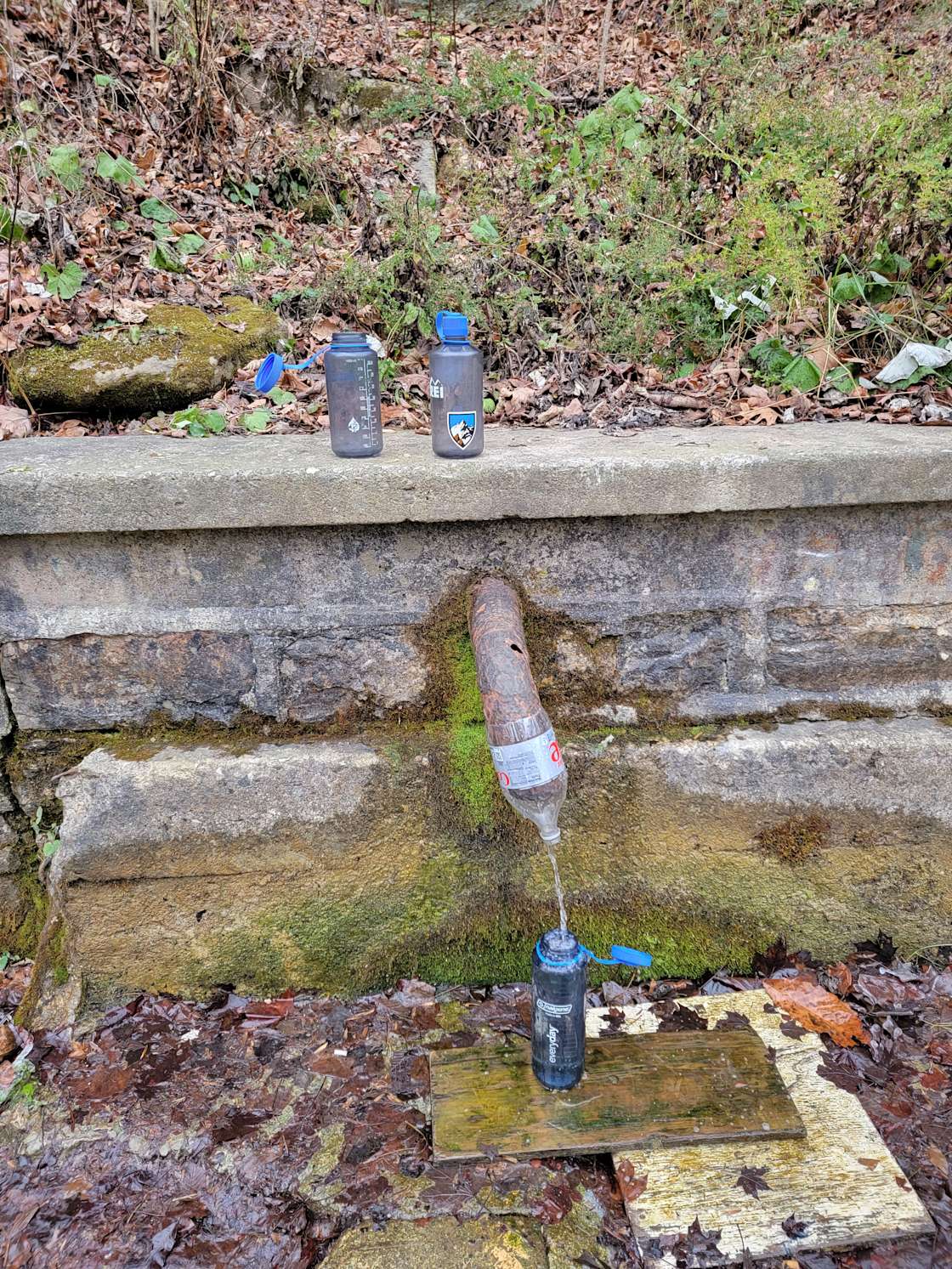 Outlook Valley Hipcamp in Ravenna, Kentucky