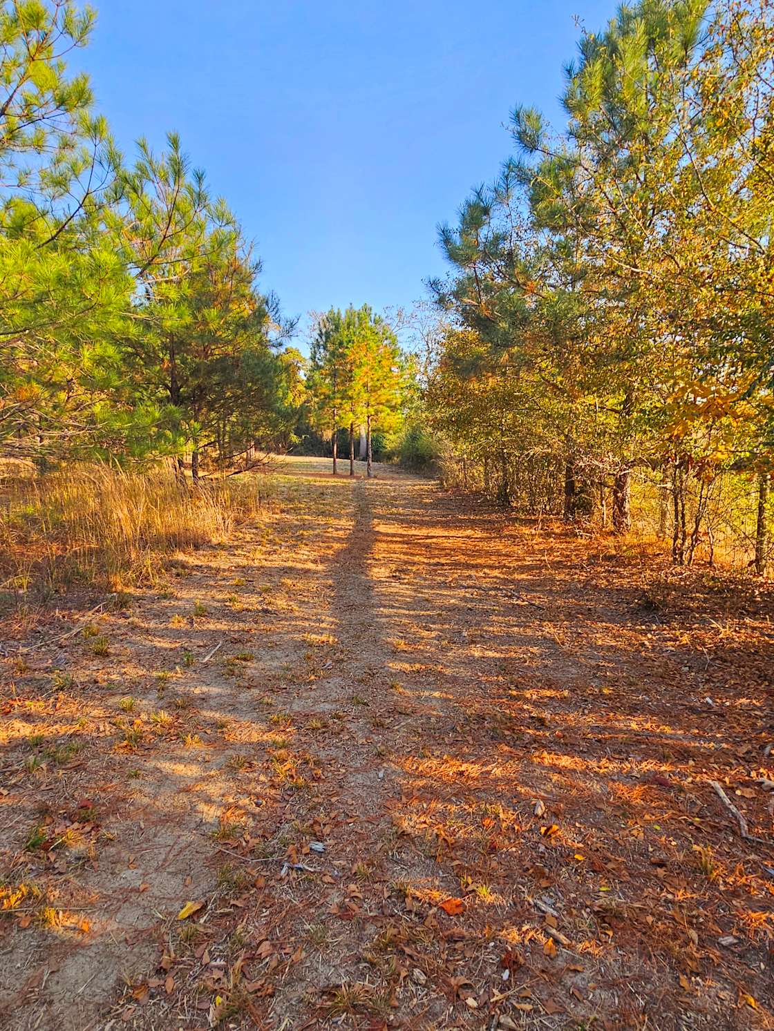 Idlewild Farm Stays Hipcamp in Raeford, North Carolina
