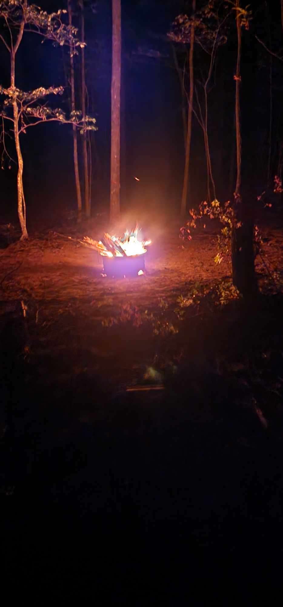 Kicks Rocks Camping Hipcamp in Gruetli Laager, Tennessee