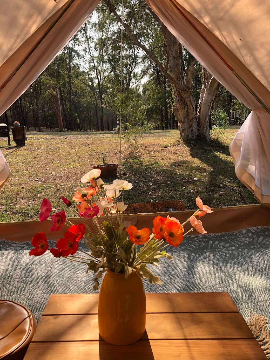 Peace & Quiet Glamping Hipcamp in Coomba Park, New South Wales