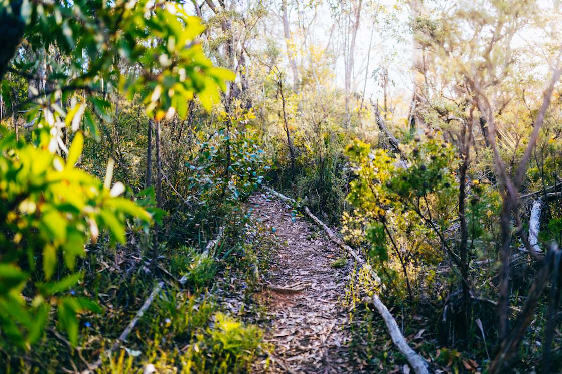 Camp Medlow Hipcamp in Medlow Bath, New South Wales
