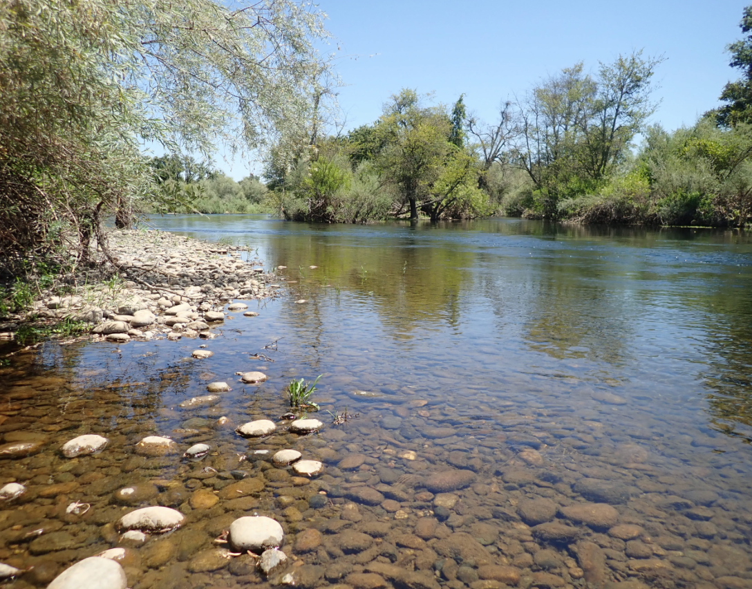 Tuolumne River Ranch Hipcamp in Waterford, California