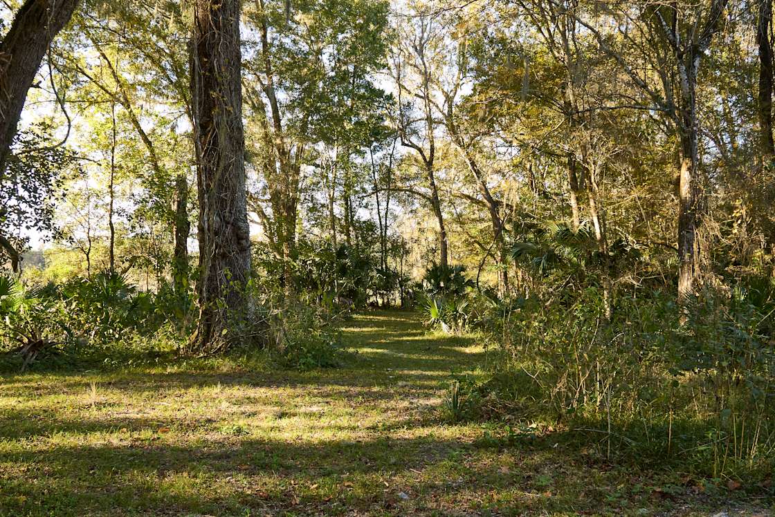 Sumac Habitat Bushnell, FL Hipcamp in Bushnell, Florida