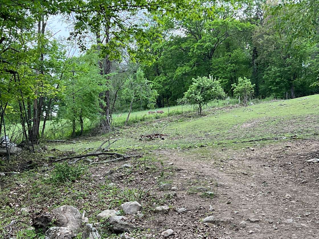 Pegasus Farms LLC Hipcamp in Terryville, Connecticut