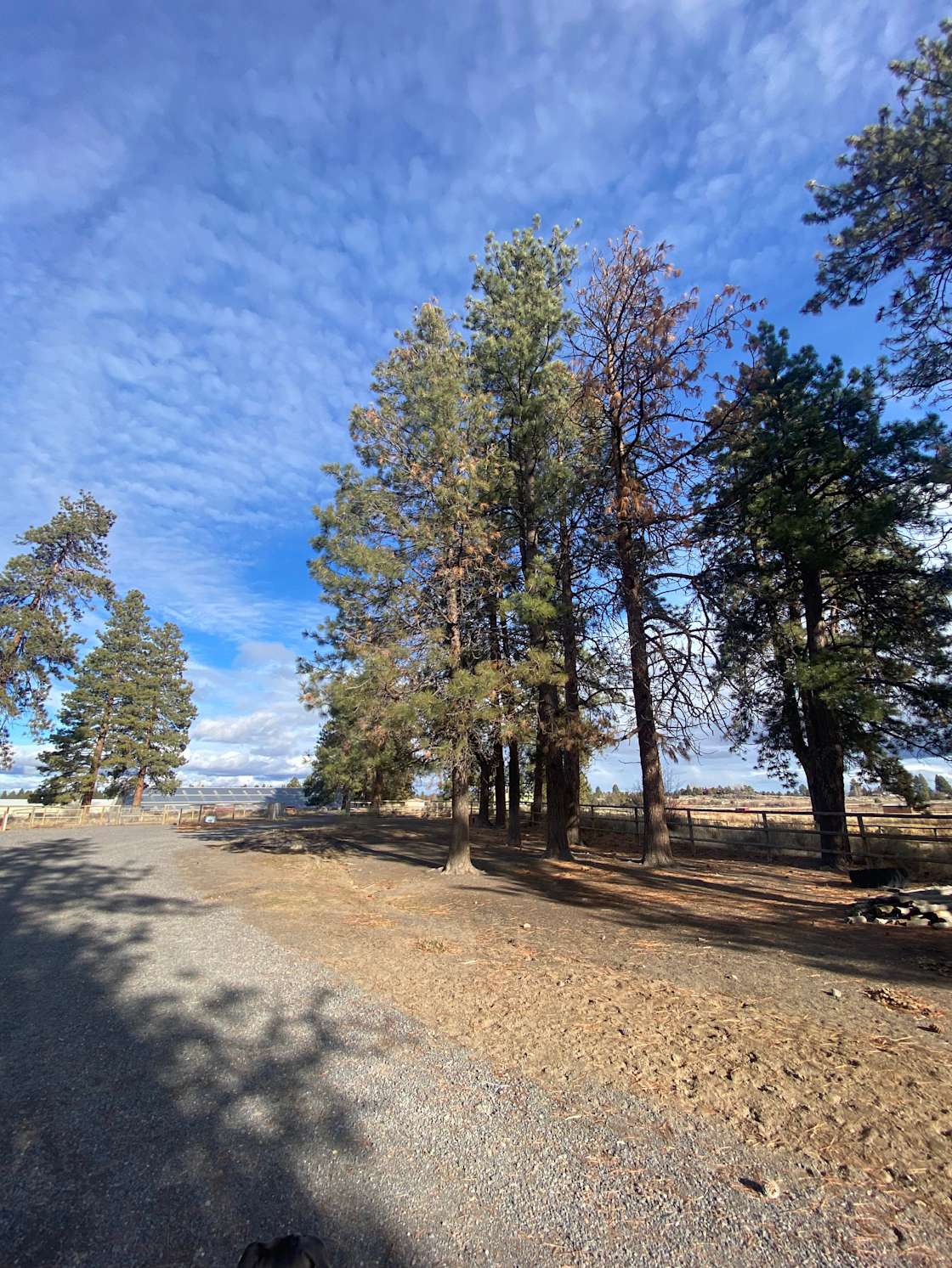 The Hitching Post at Horse Butte Hipcamp in Bend, Oregon