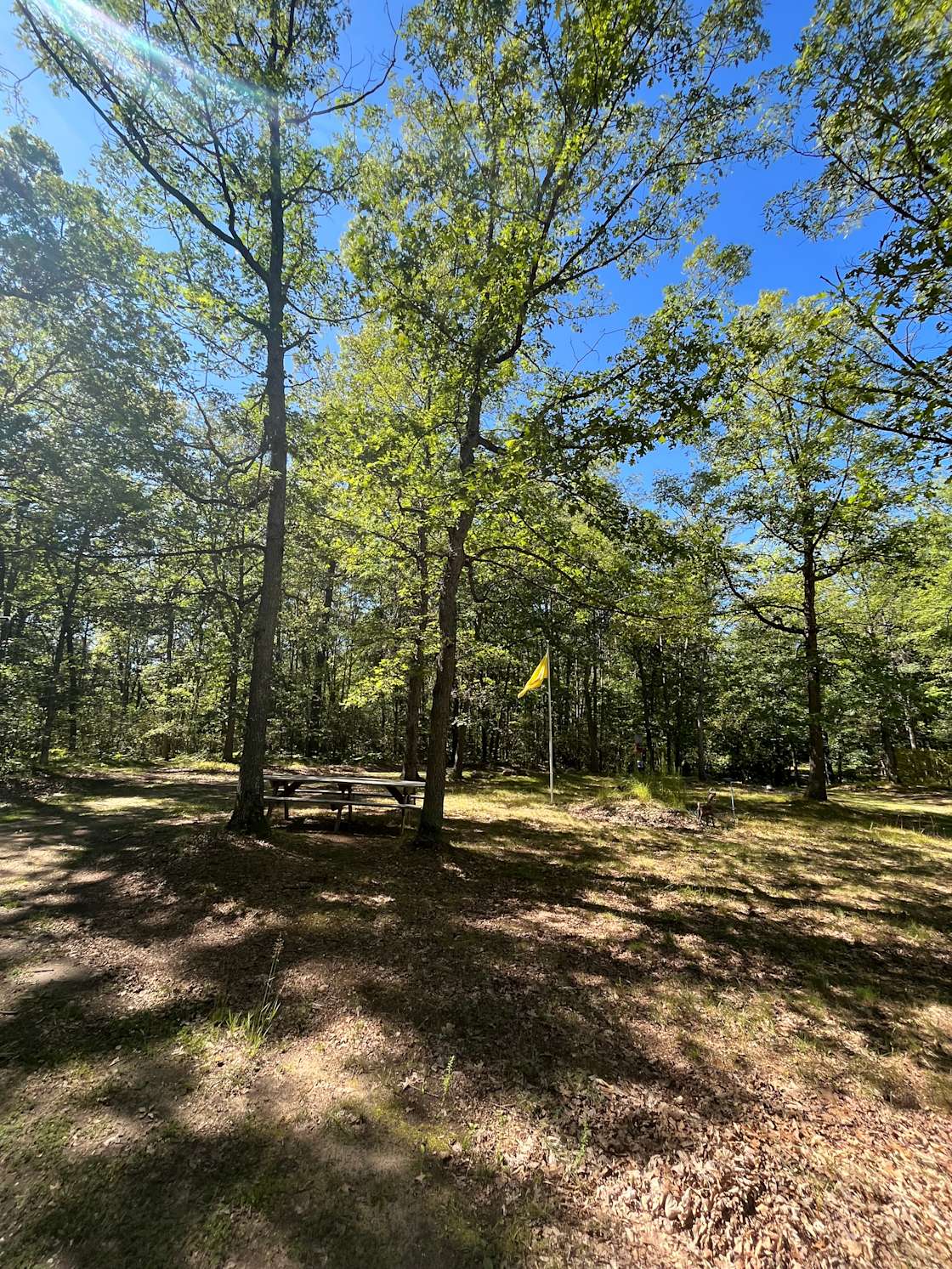 The Hermitage Hipcamp in Prudenville, Michigan