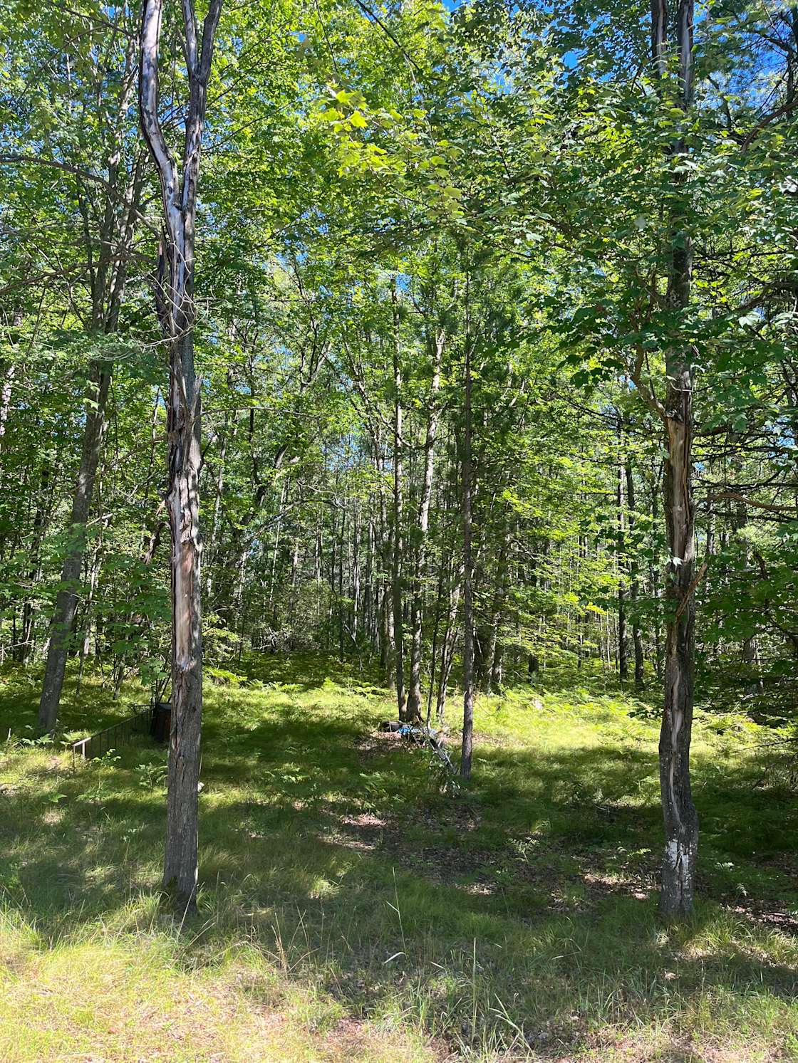 The Hermitage Hipcamp in Prudenville, Michigan