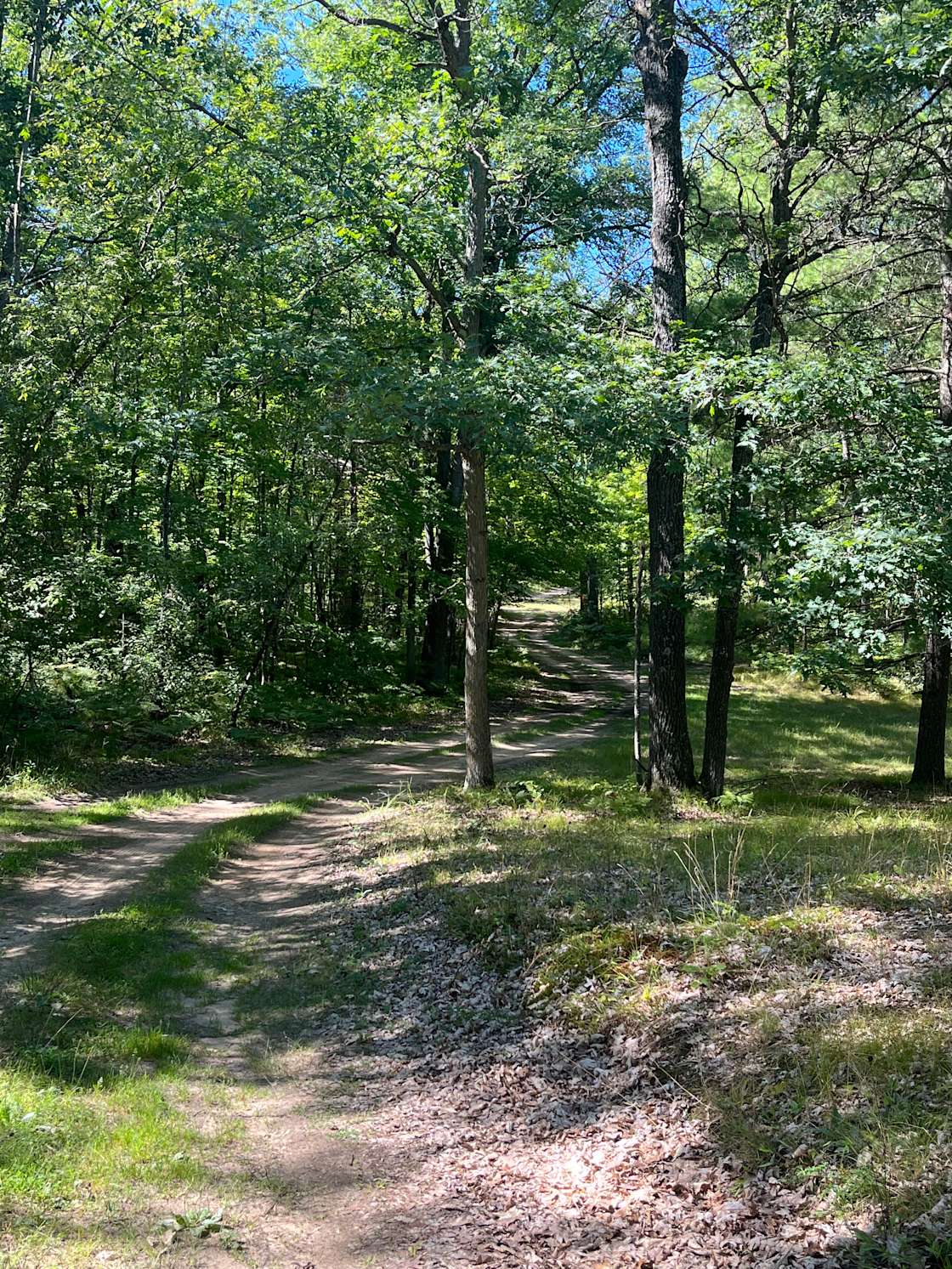 The Hermitage Hipcamp in Prudenville, Michigan