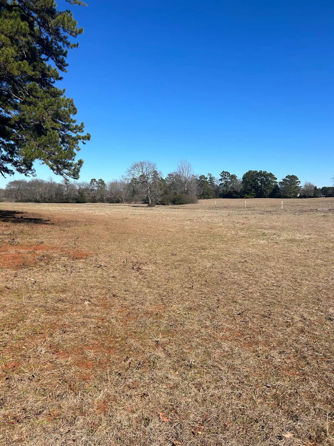 Nacogdoches Solar Eclipse Park - Hipcamp in Nacogdoches, Texas