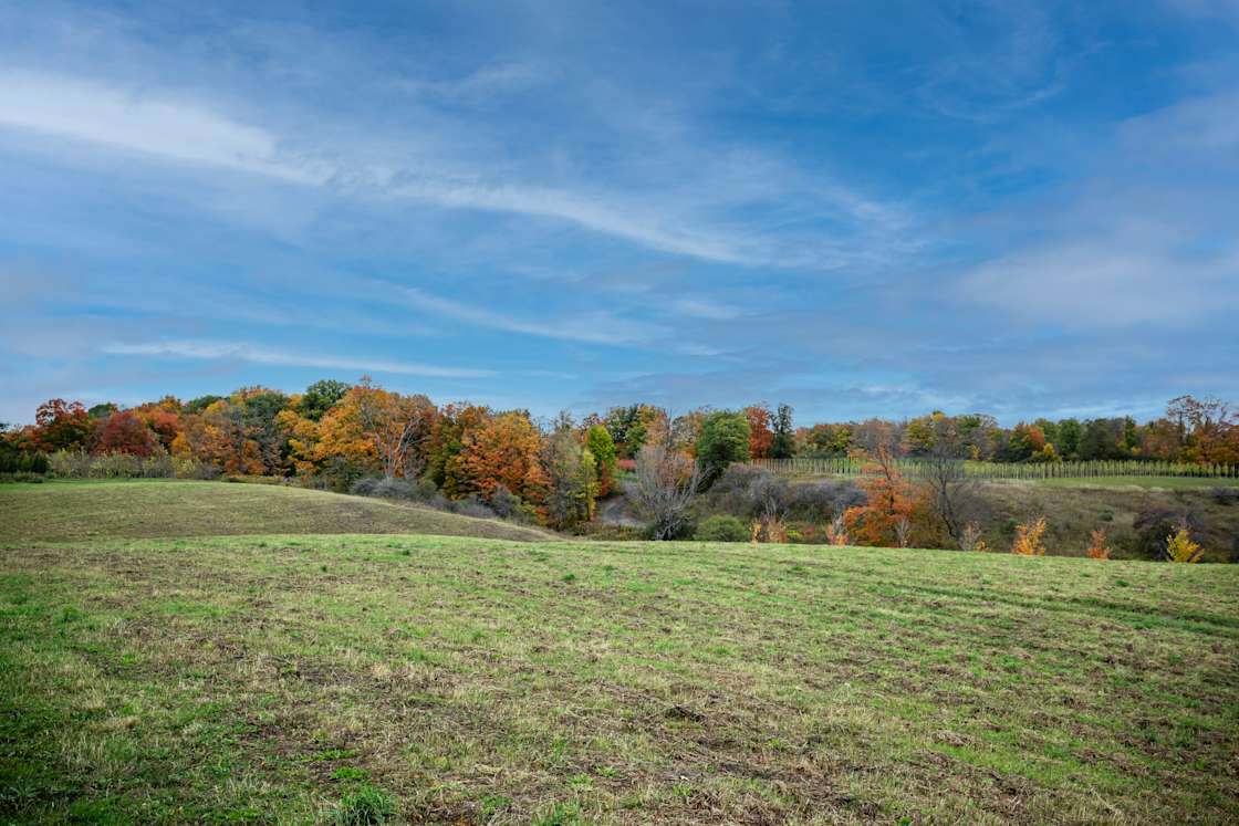 Yurt On 100+ Acres Tree Farm Hipcamp in Oshawa, Ontario