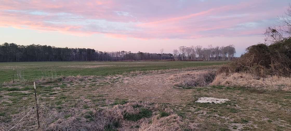 Wide open spaces Hipcamp in Creswell, North Carolina