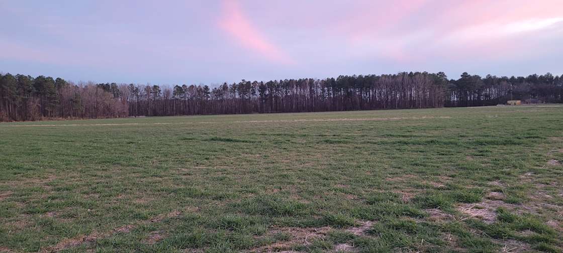 Wide open spaces Hipcamp in Creswell, North Carolina