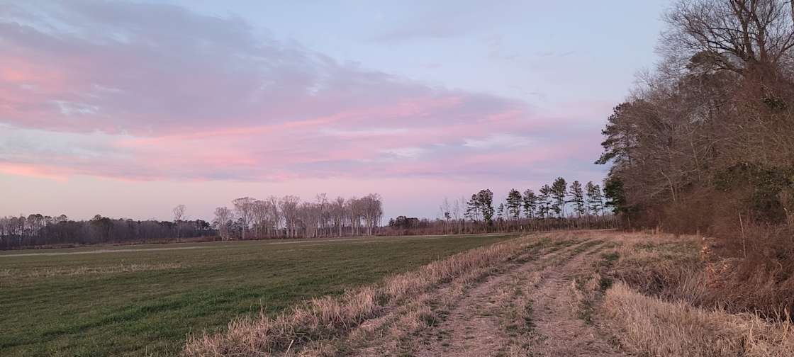Wide open spaces Hipcamp in Creswell, North Carolina