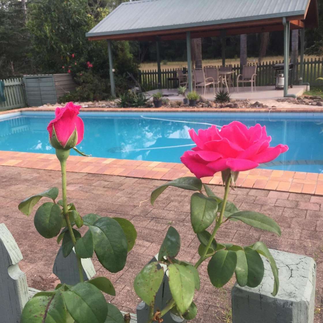 Dodona Hipcamp in Nana Glen, New South Wales