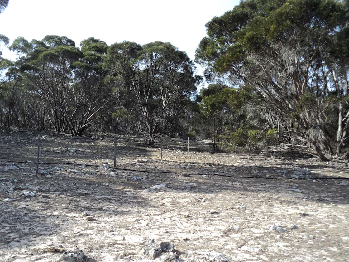 Emu Bay Hideaway, Kangaroo Island Hipcamp in Emu Bay, South Australia