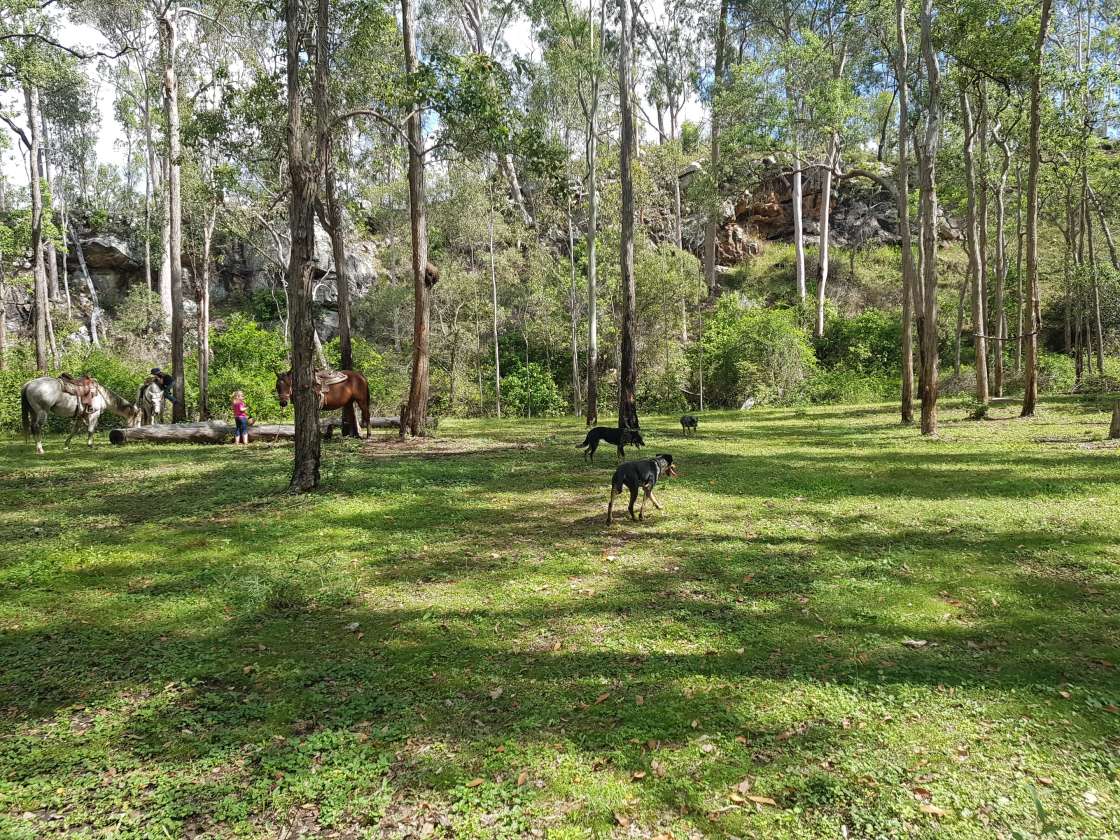 cania-springs-hipcamp-in-moonford-queensland