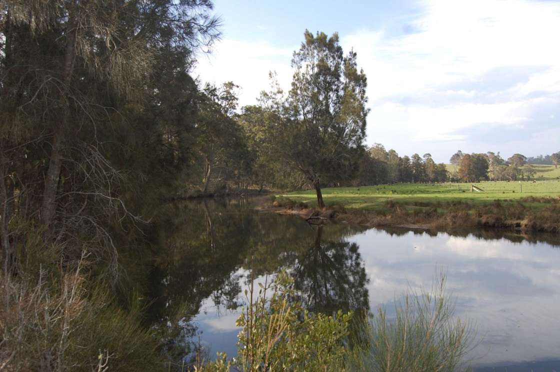 Tomakin River Camping - Hipcamp in Jeremadra, New South Wales