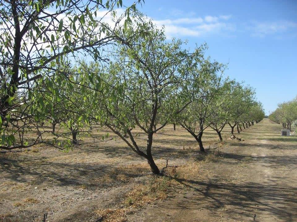 Aintree Farm Organics. Hipcamp in , Victoria