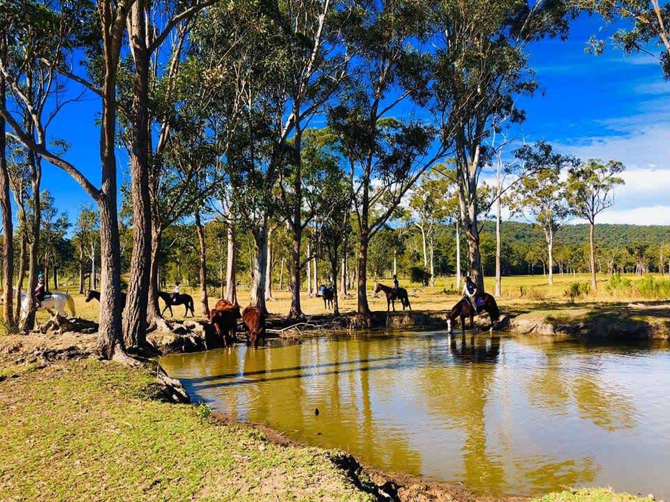 Camping @ Emerald Park Equine - Hipcamp in Mandalong, New South Wales