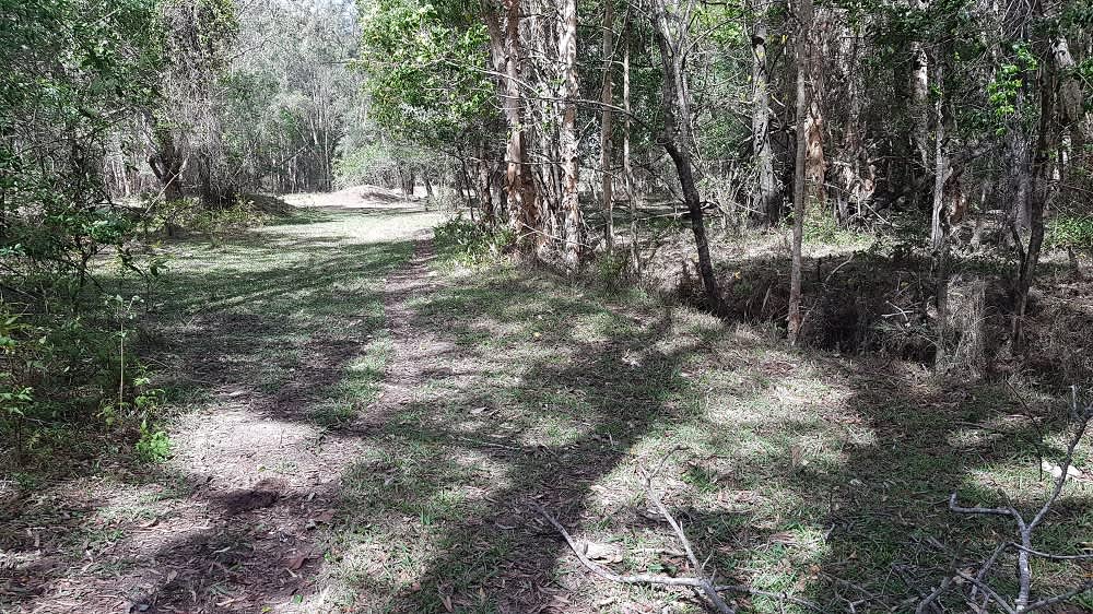 Sawpit Creek Hipcamp in Evans Head, New South Wales