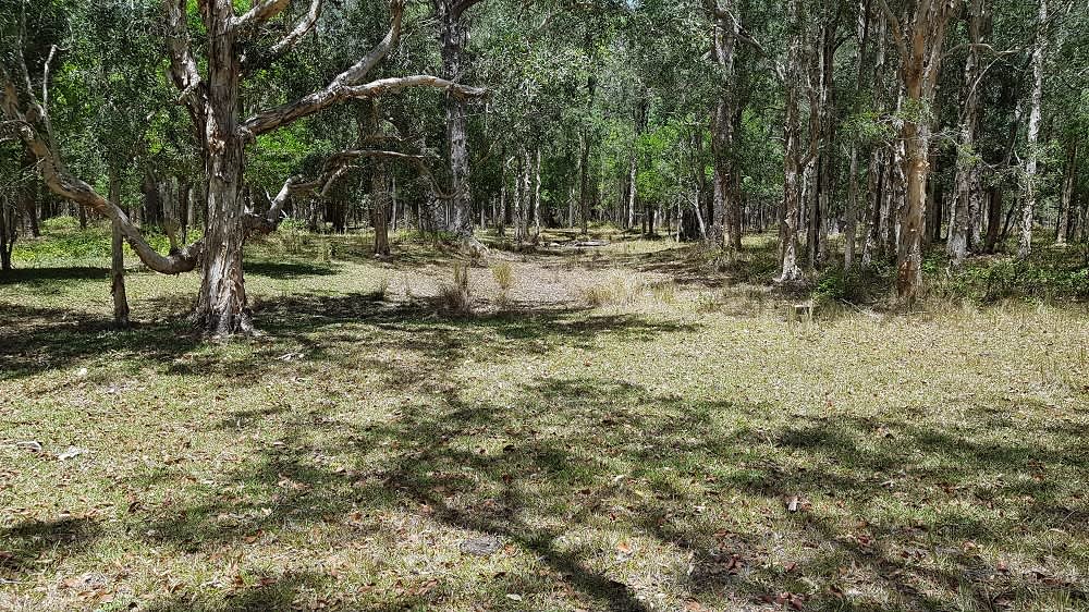 Sawpit Creek Hipcamp in Evans Head, New South Wales