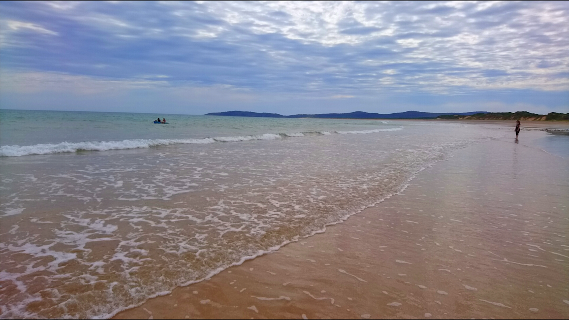 The Y at Badger Head Hipcamp in Badger Head, Tasmania