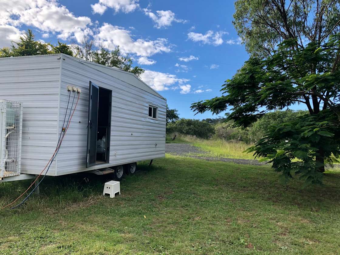 Rascals at Mount Rascals Hipcamp in Mount Rascal, Queensland