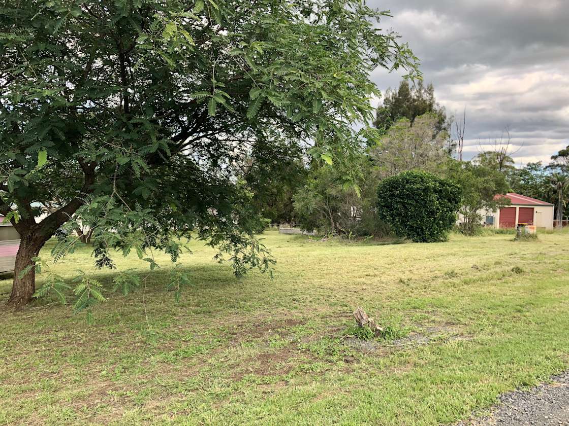 Rascals at Mount Rascals Hipcamp in Mount Rascal, Queensland