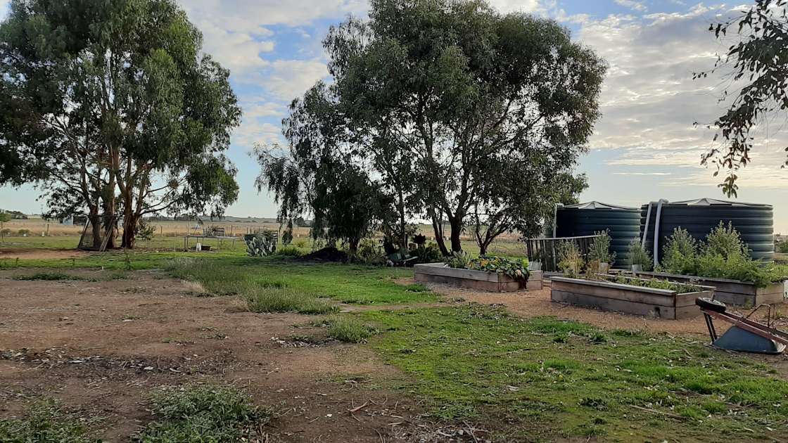 The Warrnambool Block Hipcamp in Warrnambool, Victoria