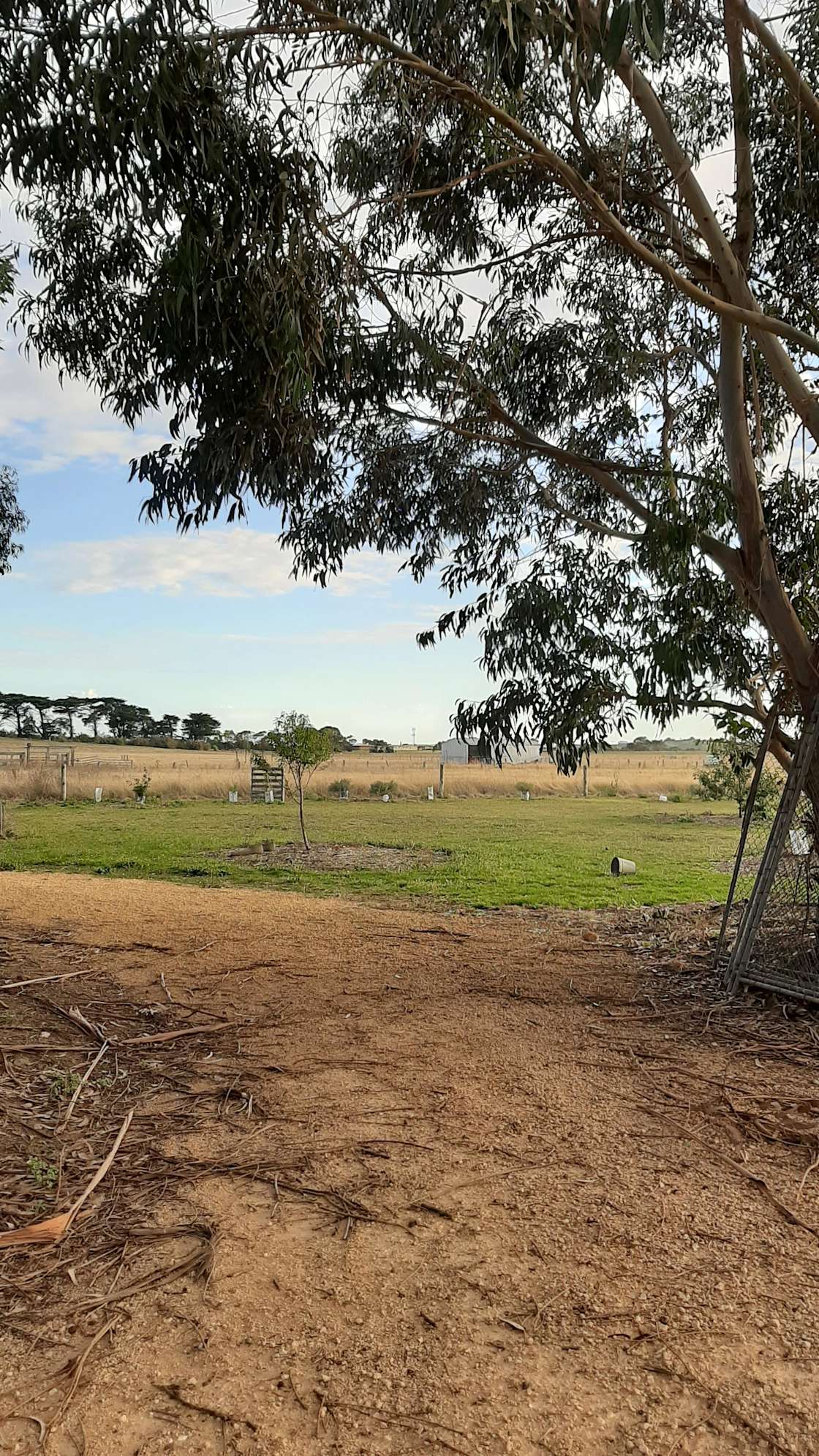 The Warrnambool Block Hipcamp in Warrnambool, Victoria