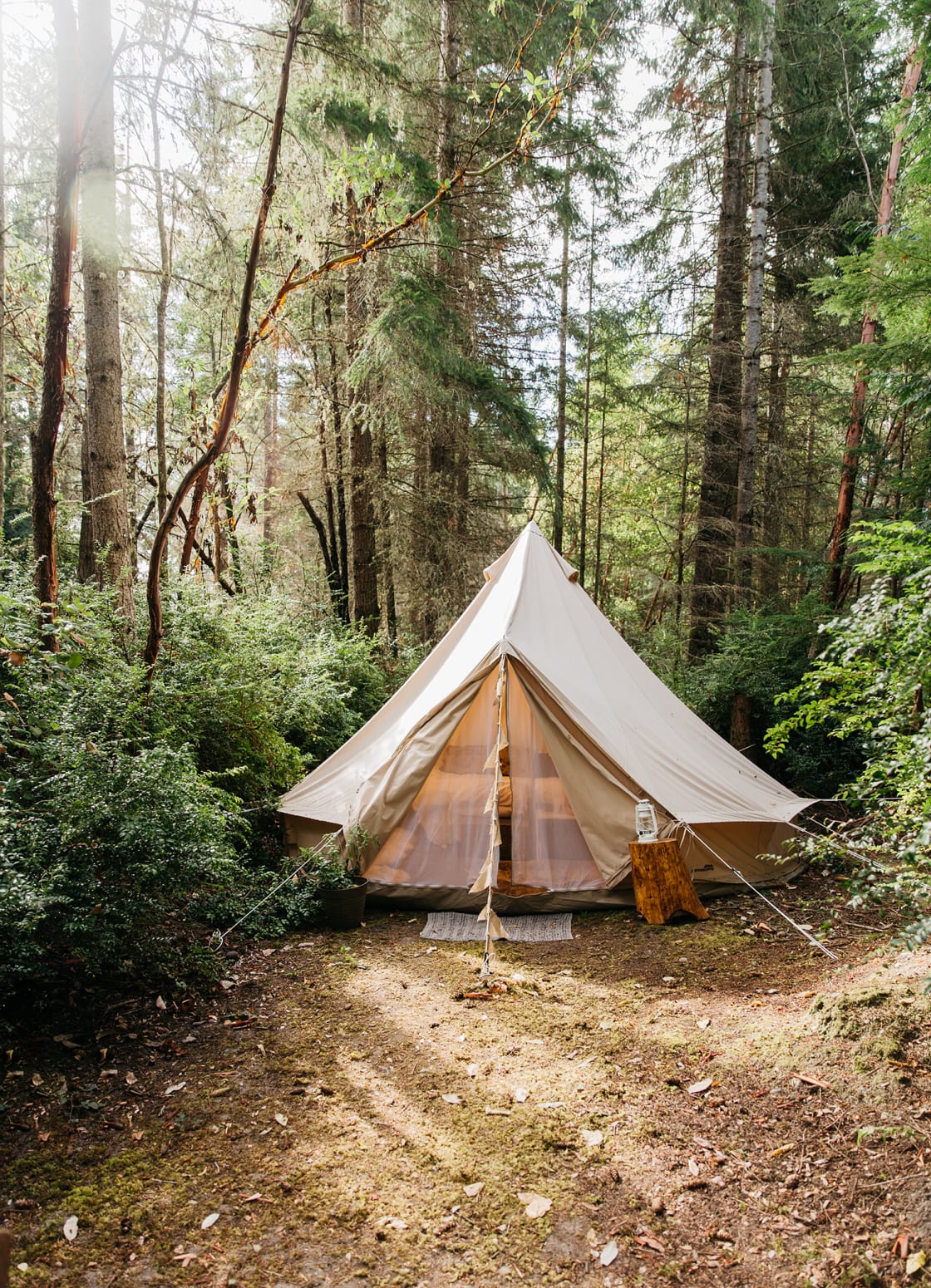 Glamping tents