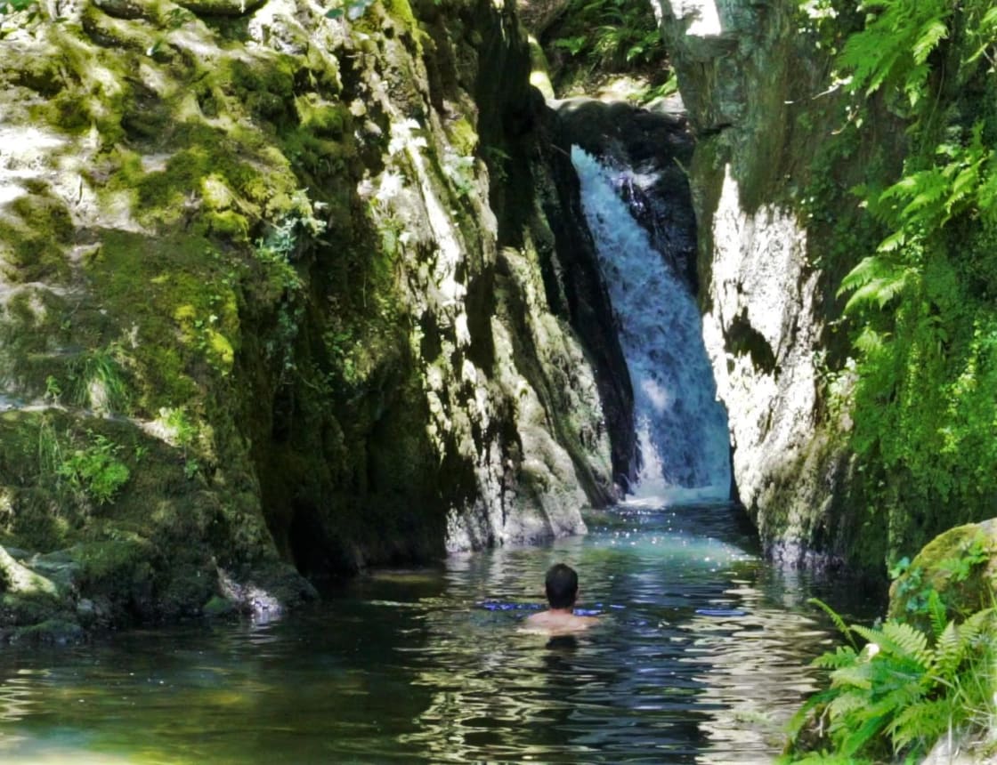 Find the secret waterfall at Top of the Woods camping & glamping
