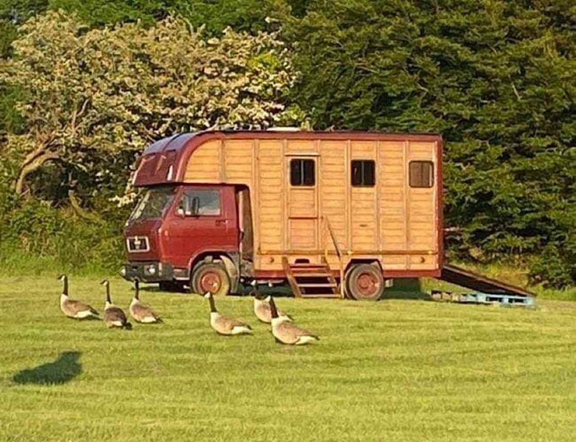 Bluebell Horsebox