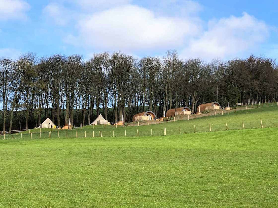 The Duck - Luxury Timber Pod 