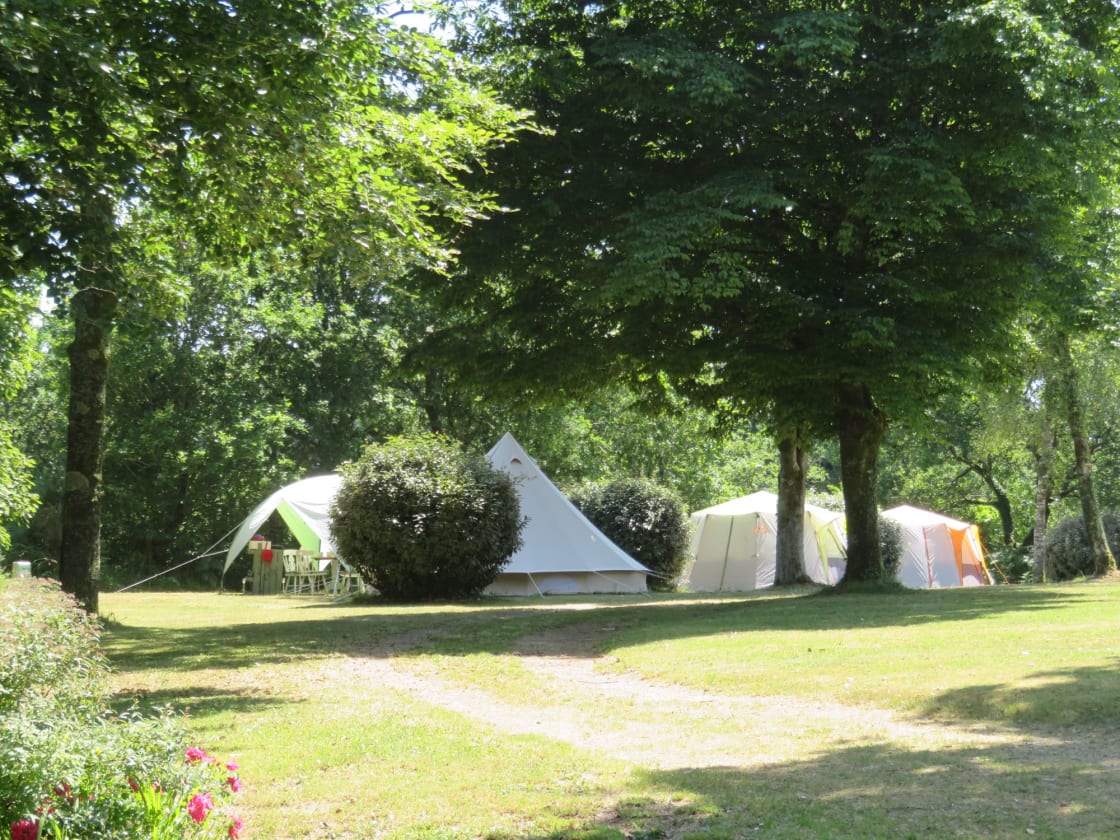 Bell Tent 