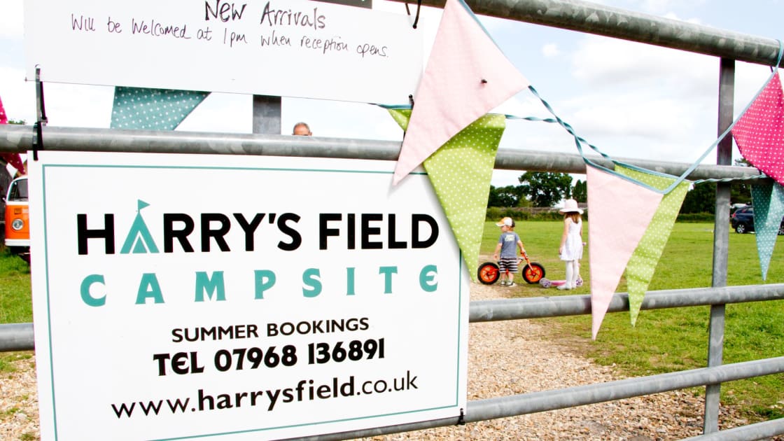Harry's Field
