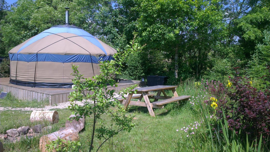 Scorrodale yurt
